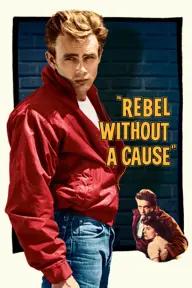 Movie poster of Rebel Without a Cause