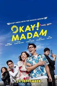 Movie poster of Okay Madam