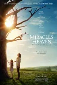 Movie poster of Miracles from Heaven