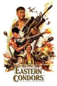 Movie poster of Eastern Condors