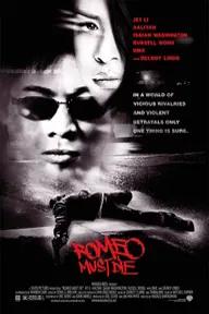 Movie poster of Romeo Must Die