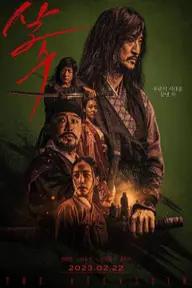 Movie poster of The Assassin