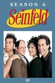 Movie poster of Seinfeld (Season 6)