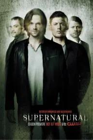 Movie poster of Supernatural (Season 11)