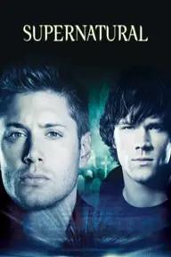 Movie poster of Supernatural (Season 2)