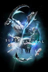 Movie poster of Super/Natural