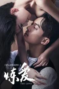 Movie poster of Lust，Love