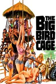 Movie poster of The Big Bird Cage