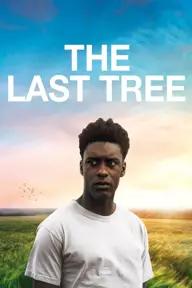 Movie poster of The Last Tree