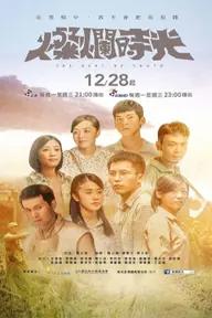 Movie poster of Can lan shi guang