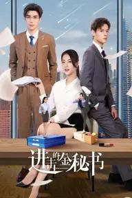 Movie poster of Jin Secretary