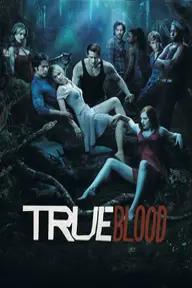 Movie poster of True Blood (Season 3)