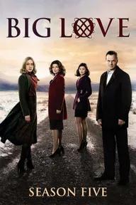 Movie poster of Big Love (Season 5)