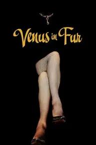 Movie poster of Venus in Fur (La Vénus à la fourrure)