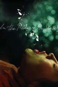 Movie poster of In the Realm of the Senses