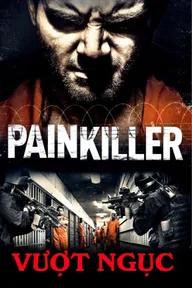 Movie poster of Painkiller