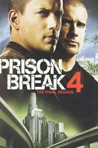 Movie poster of Prison Break (Season 4)