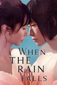 Movie poster of When the Rain Falls